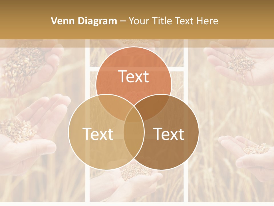 Collage Palm Harvesting PowerPoint Template