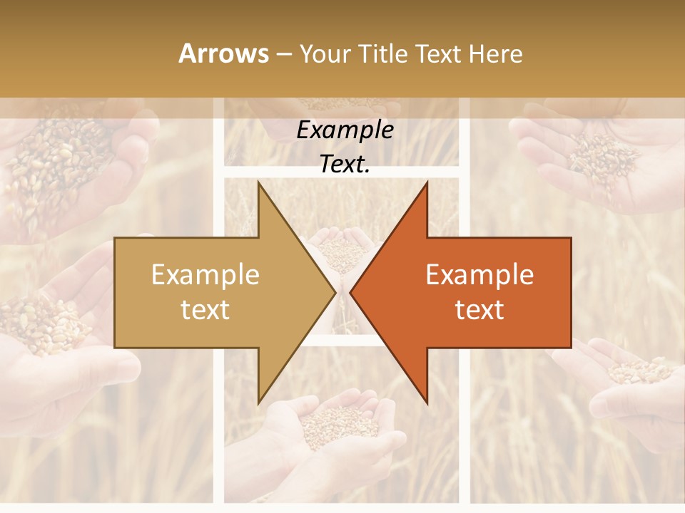 Collage Palm Harvesting PowerPoint Template
