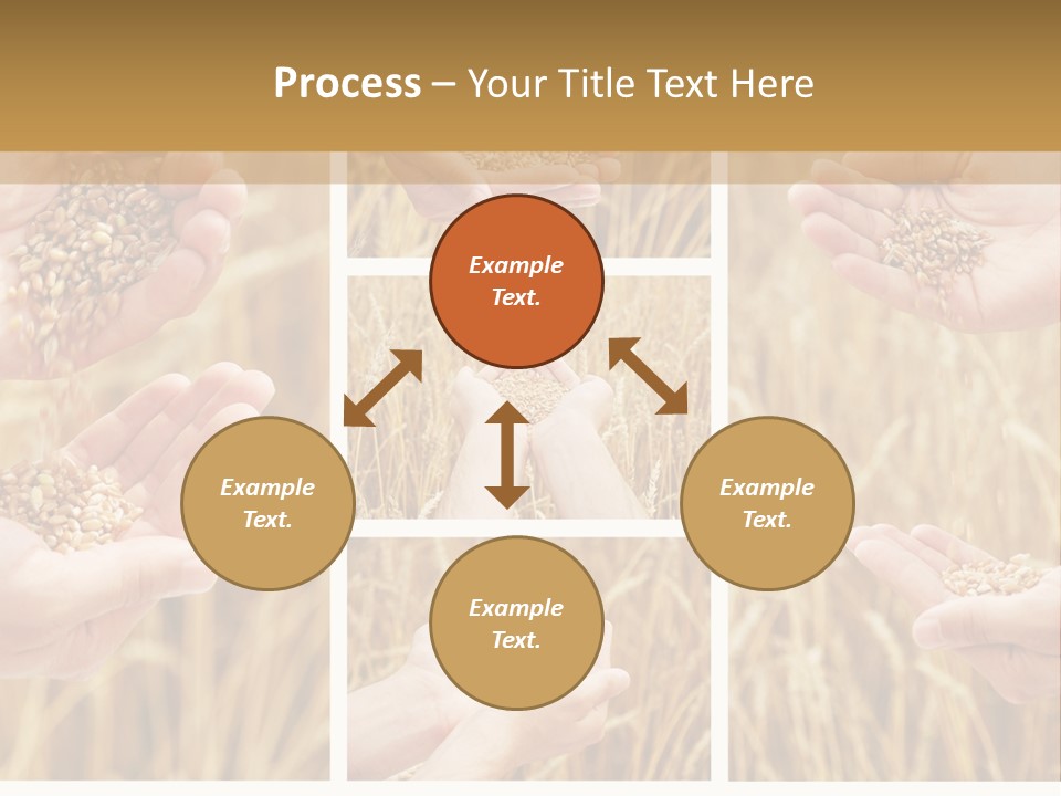 Collage Palm Harvesting PowerPoint Template
