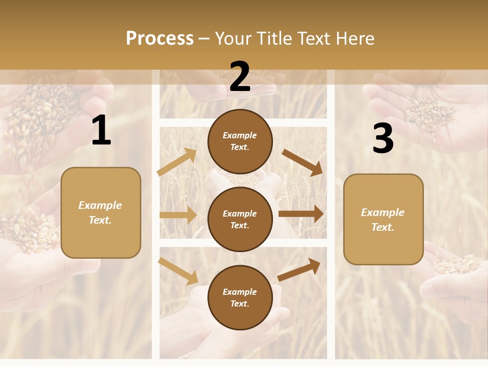 Collage Palm Harvesting PowerPoint Template