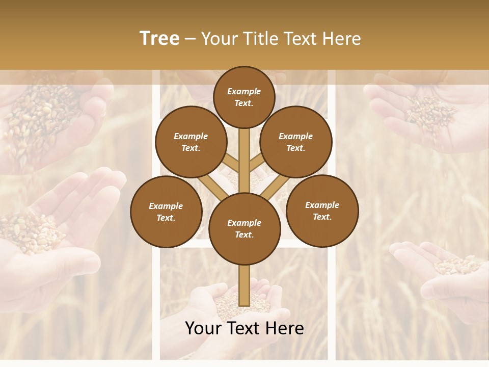 Collage Palm Harvesting PowerPoint Template