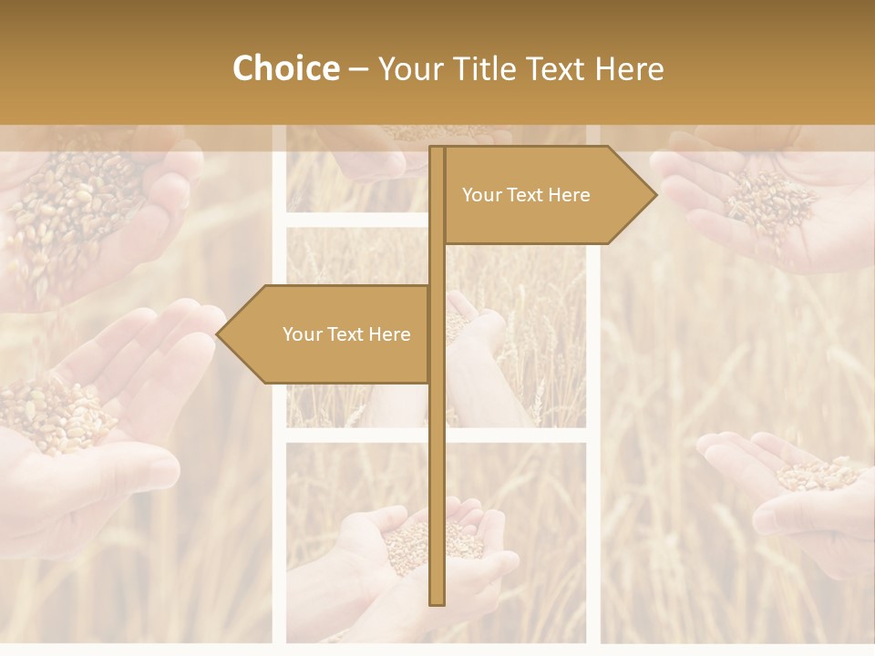 Collage Palm Harvesting PowerPoint Template