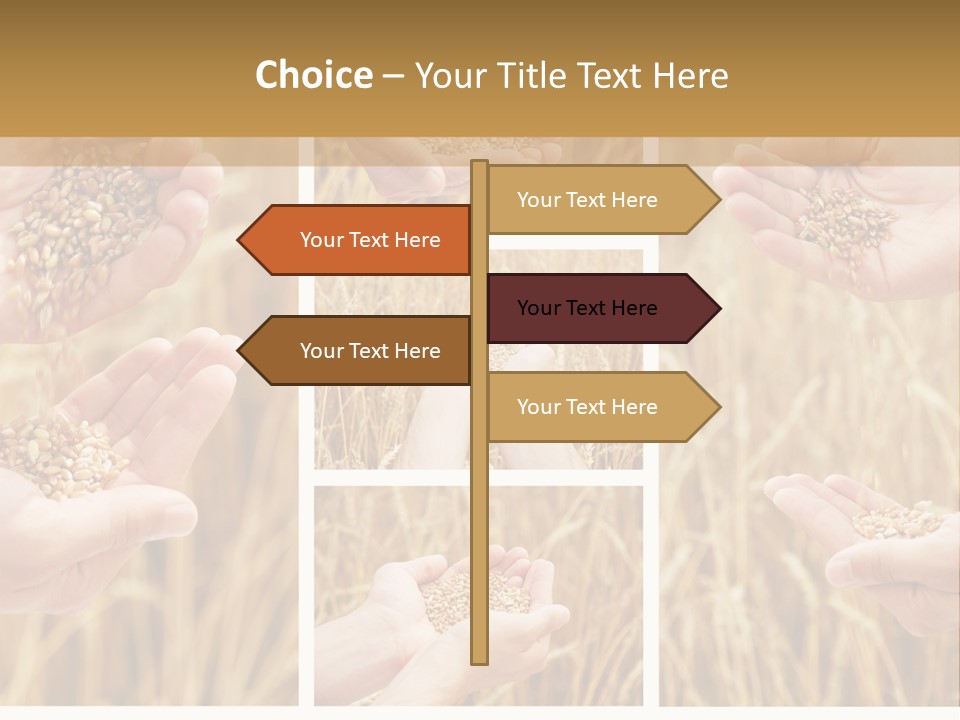 Collage Palm Harvesting PowerPoint Template