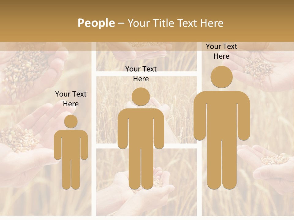 Collage Palm Harvesting PowerPoint Template