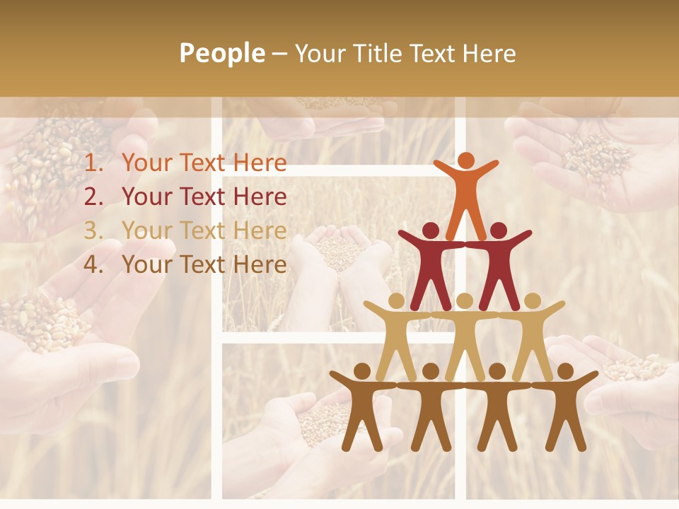 Collage Palm Harvesting PowerPoint Template