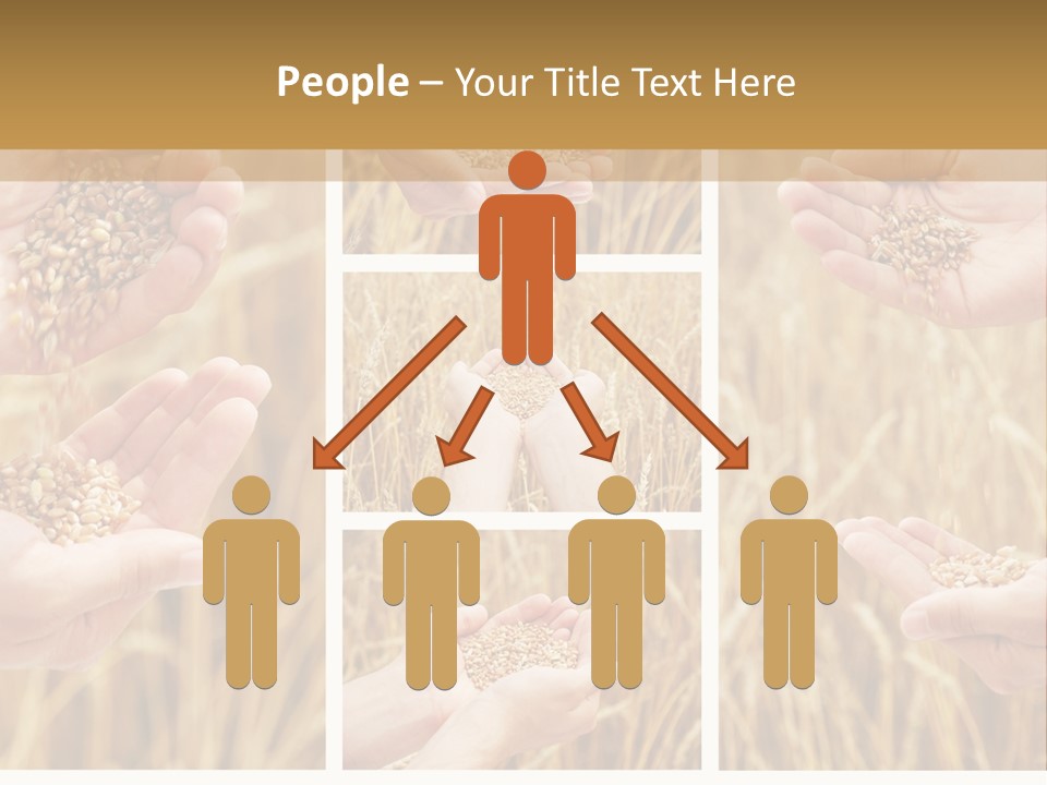 Collage Palm Harvesting PowerPoint Template