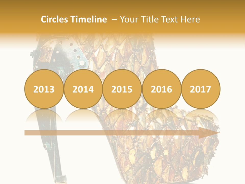 Top Shoe Brand PowerPoint Template