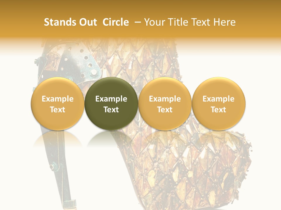 Top Shoe Brand PowerPoint Template