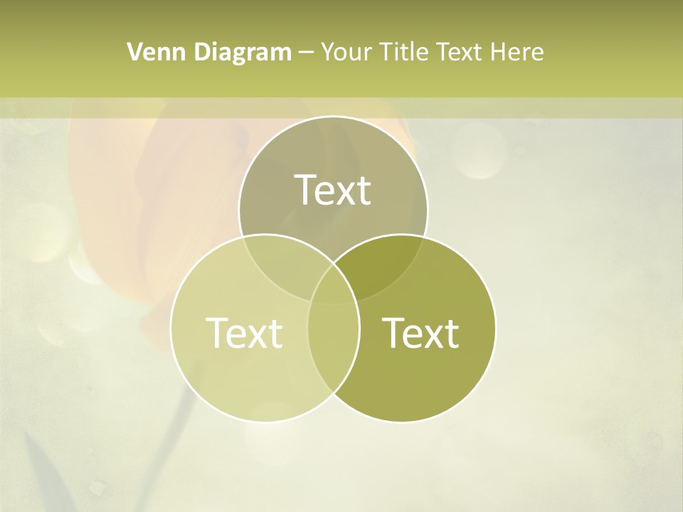 Ancient Vintage Antique PowerPoint Template