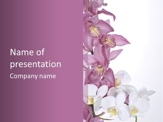 Beautiful Flowers Hd PowerPoint Template