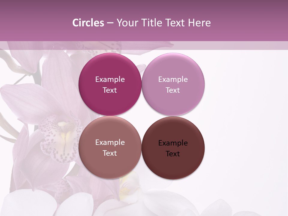 Beautiful Flowers Hd PowerPoint Template