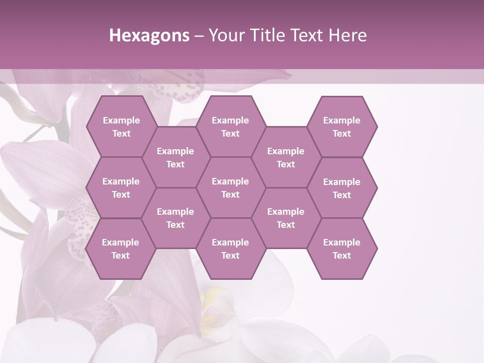 Beautiful Flowers Hd PowerPoint Template