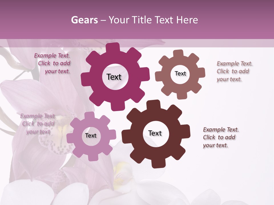 Beautiful Flowers Hd PowerPoint Template