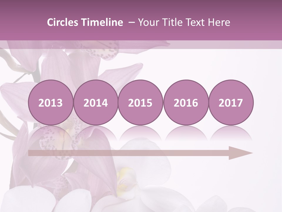 Beautiful Flowers Hd PowerPoint Template