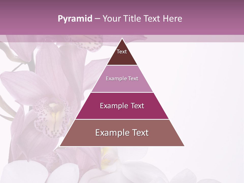 Beautiful Flowers Hd PowerPoint Template