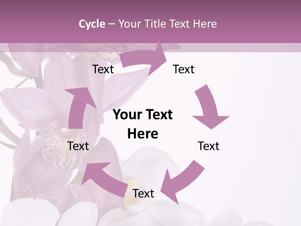 Beautiful Flowers Hd PowerPoint Template