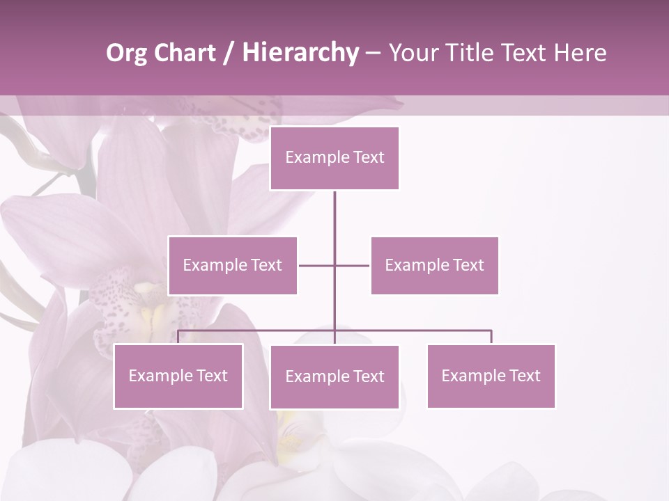 Beautiful Flowers Hd PowerPoint Template