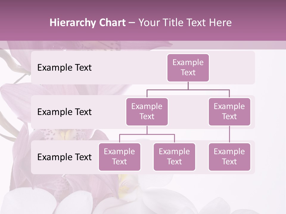 Beautiful Flowers Hd PowerPoint Template