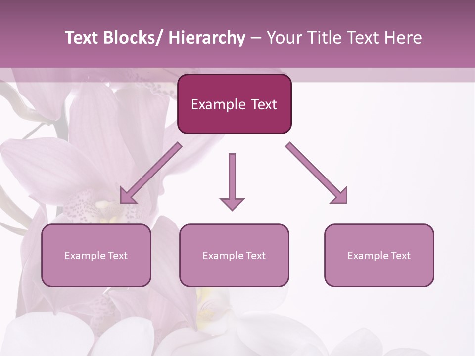 Beautiful Flowers Hd PowerPoint Template