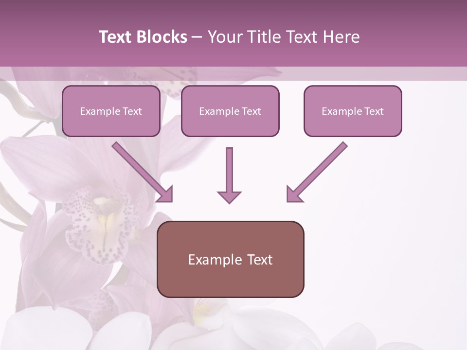 Beautiful Flowers Hd PowerPoint Template