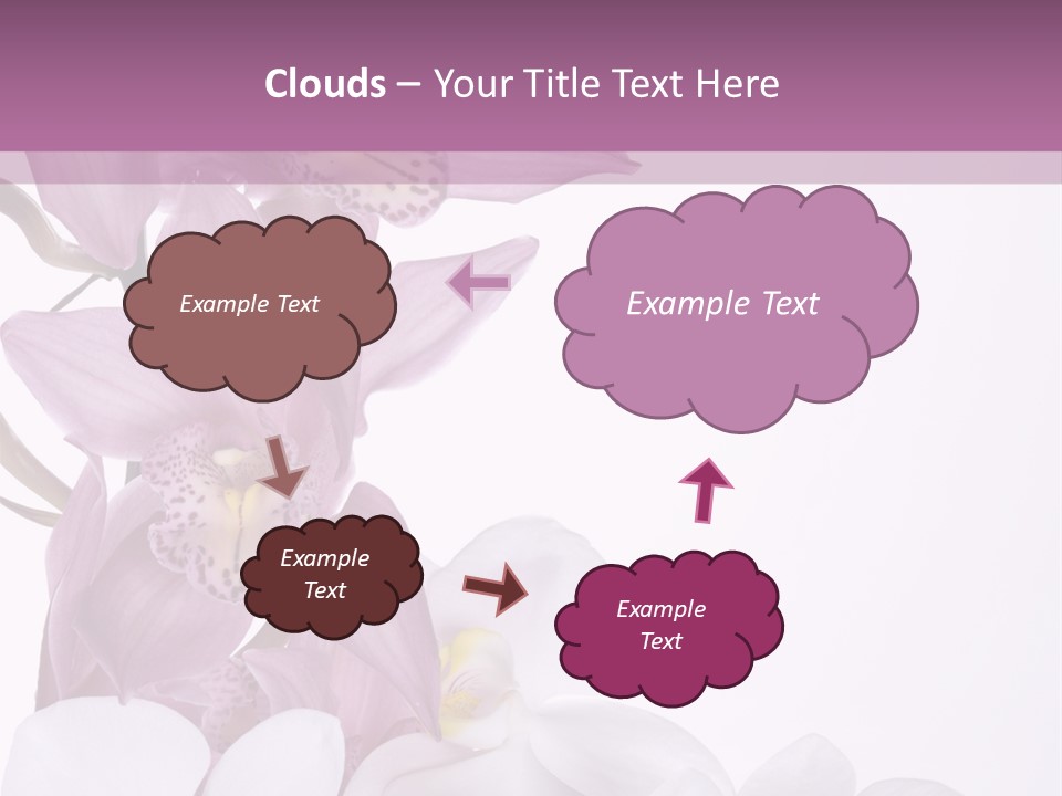 Beautiful Flowers Hd PowerPoint Template