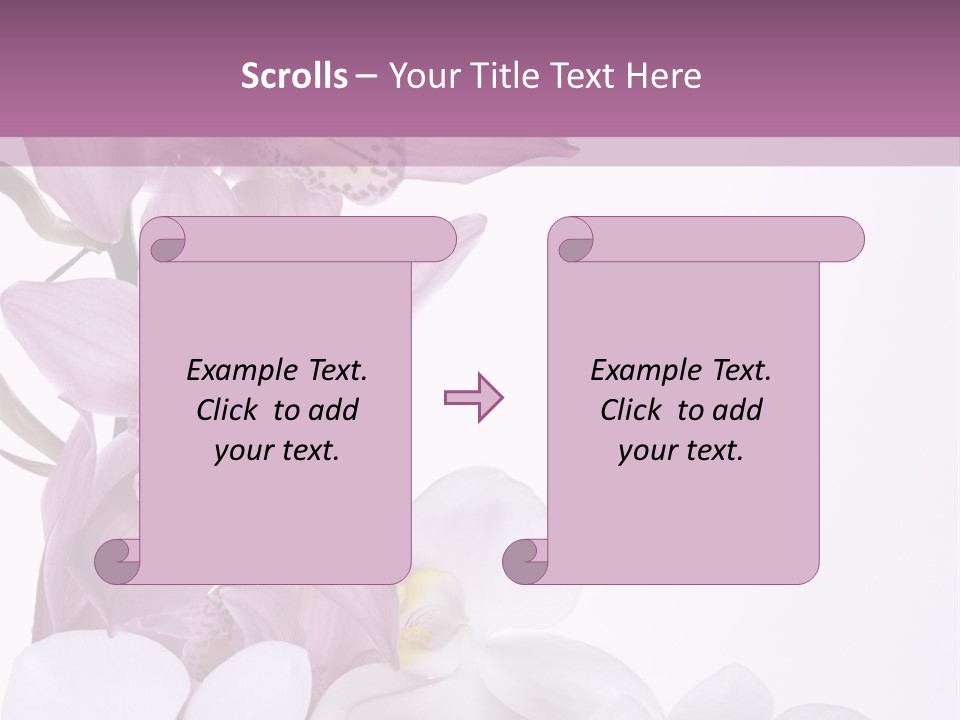 Beautiful Flowers Hd PowerPoint Template