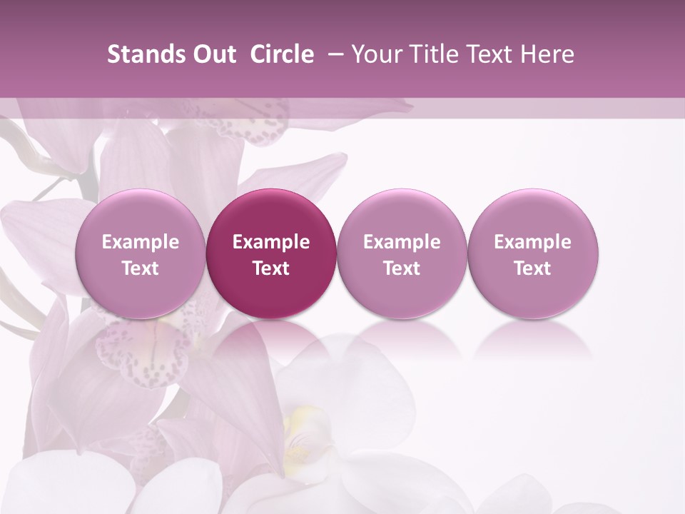 Beautiful Flowers Hd PowerPoint Template