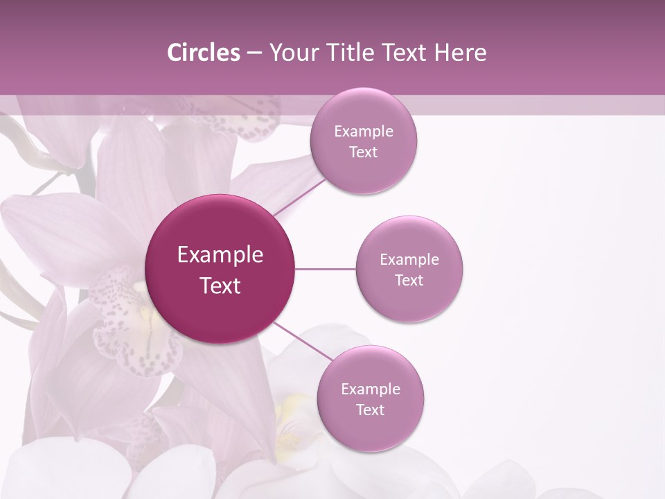 Beautiful Flowers Hd PowerPoint Template