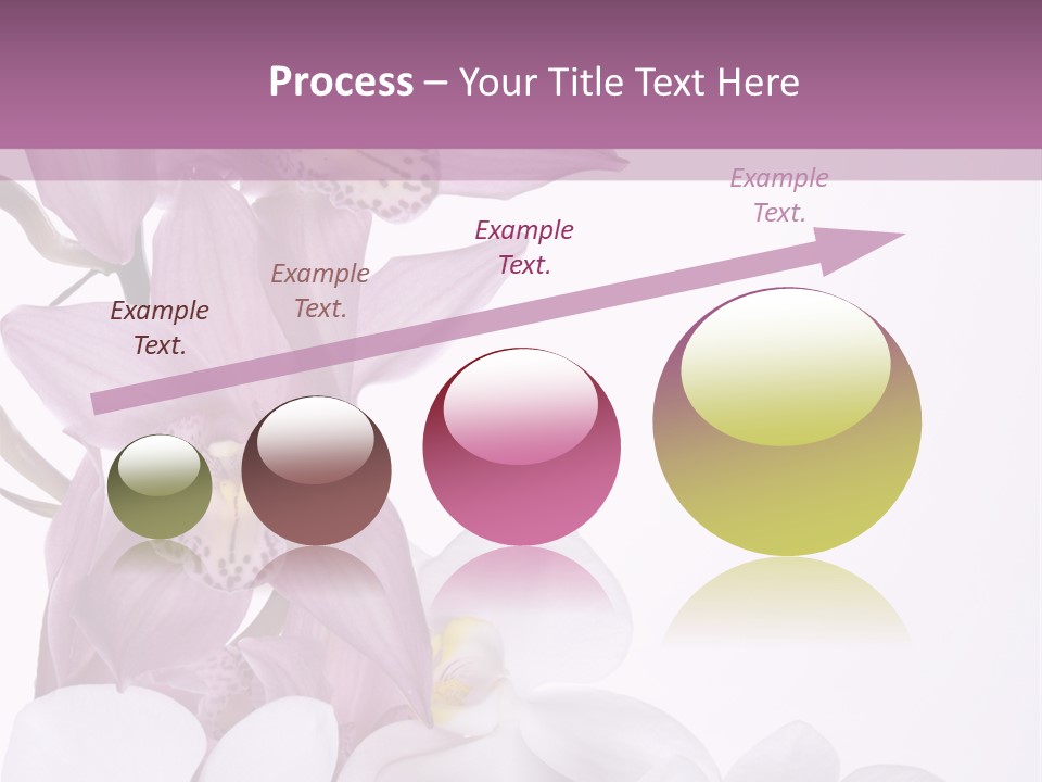 Beautiful Flowers Hd PowerPoint Template