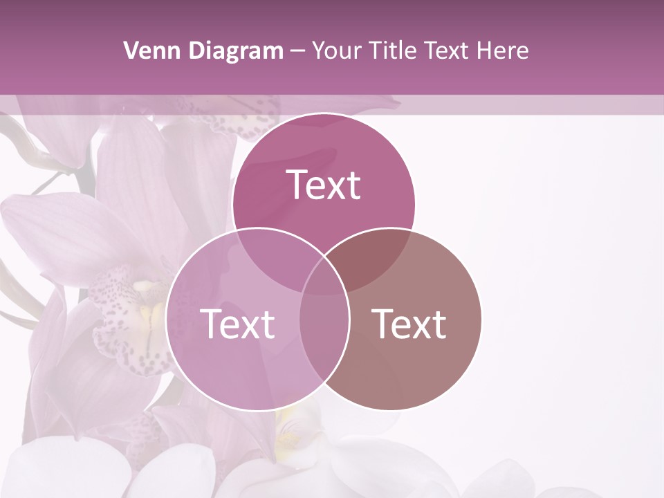 Beautiful Flowers Hd PowerPoint Template