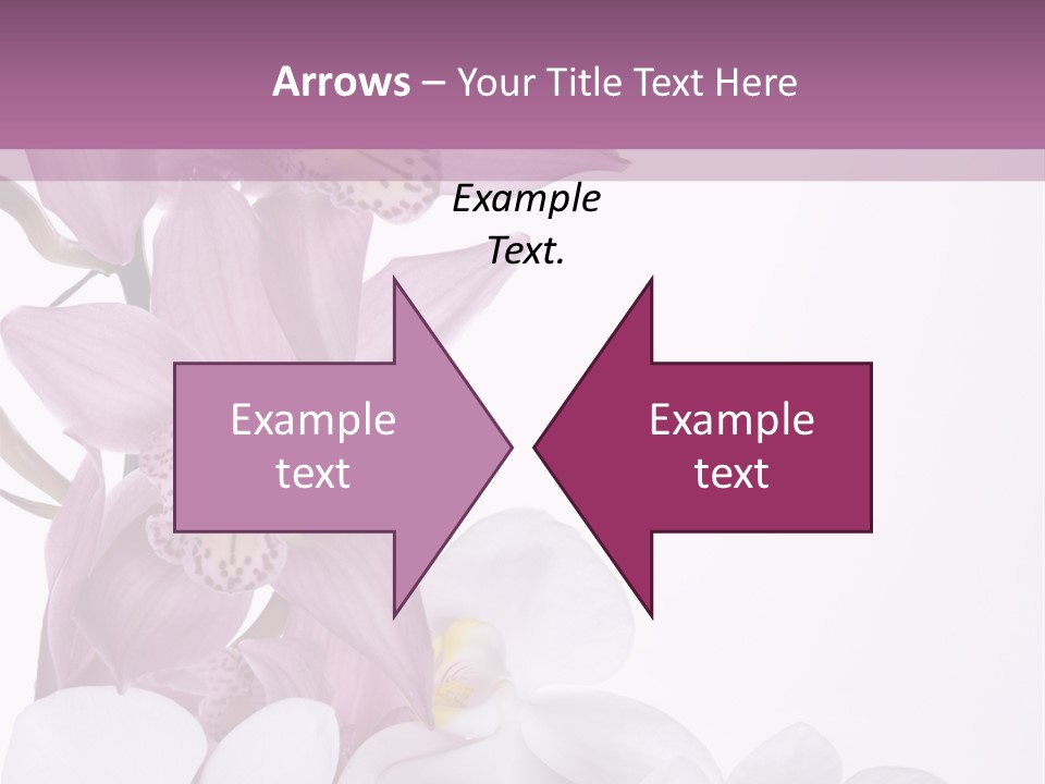 Beautiful Flowers Hd PowerPoint Template