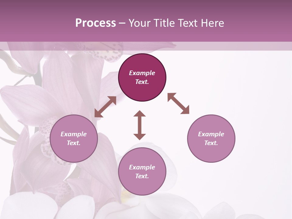 Beautiful Flowers Hd PowerPoint Template