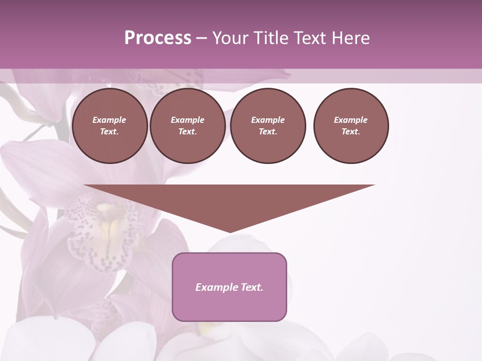 Beautiful Flowers Hd PowerPoint Template