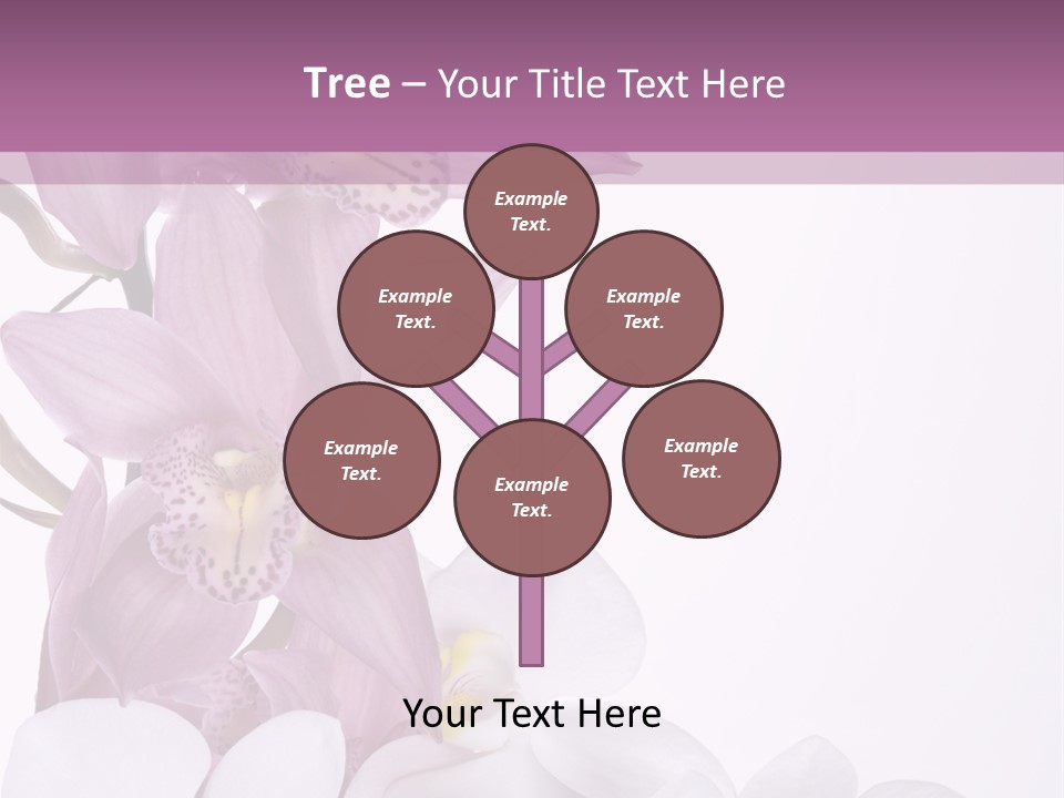 Beautiful Flowers Hd PowerPoint Template
