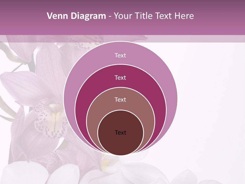 Beautiful Flowers Hd PowerPoint Template