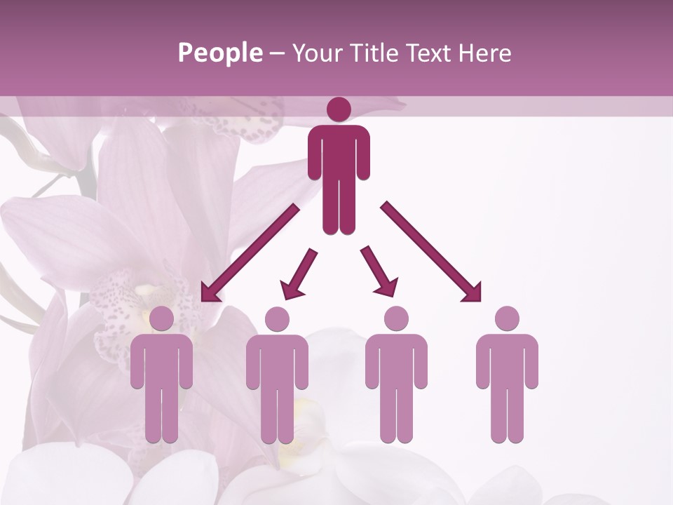Beautiful Flowers Hd PowerPoint Template