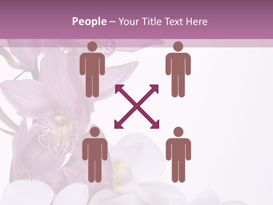 Beautiful Flowers Hd PowerPoint Template