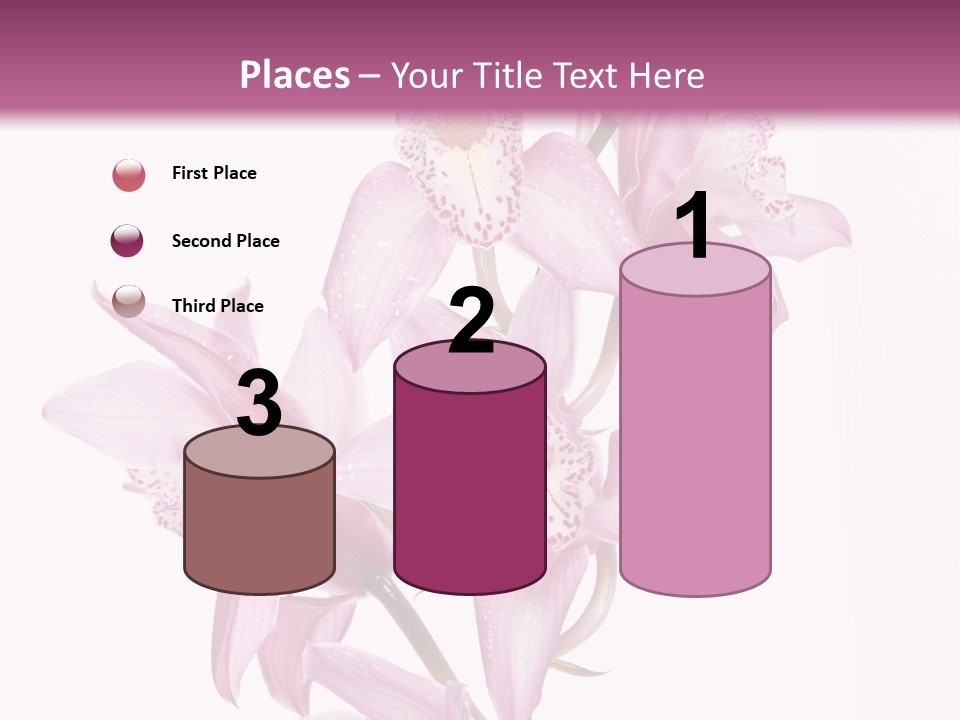 Photography Floral Object PowerPoint Template