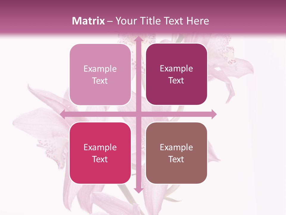 Photography Floral Object PowerPoint Template