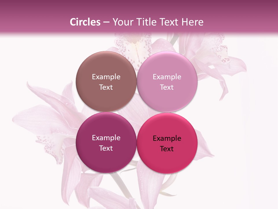 Photography Floral Object PowerPoint Template