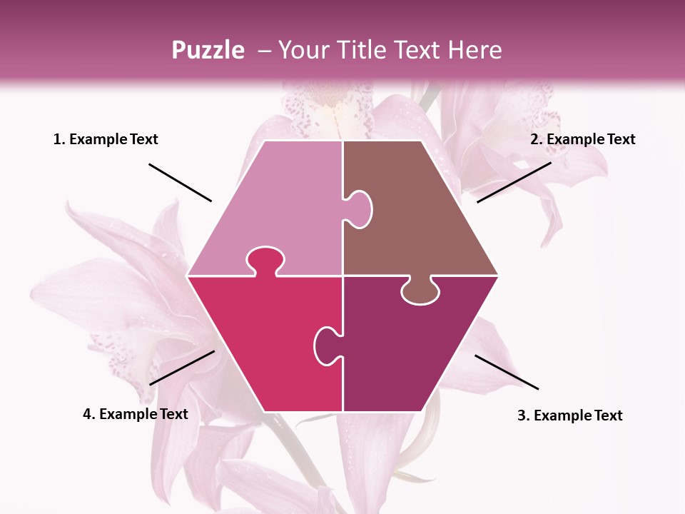 Photography Floral Object PowerPoint Template