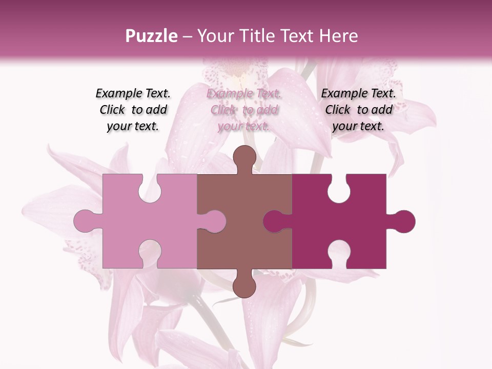 Photography Floral Object PowerPoint Template