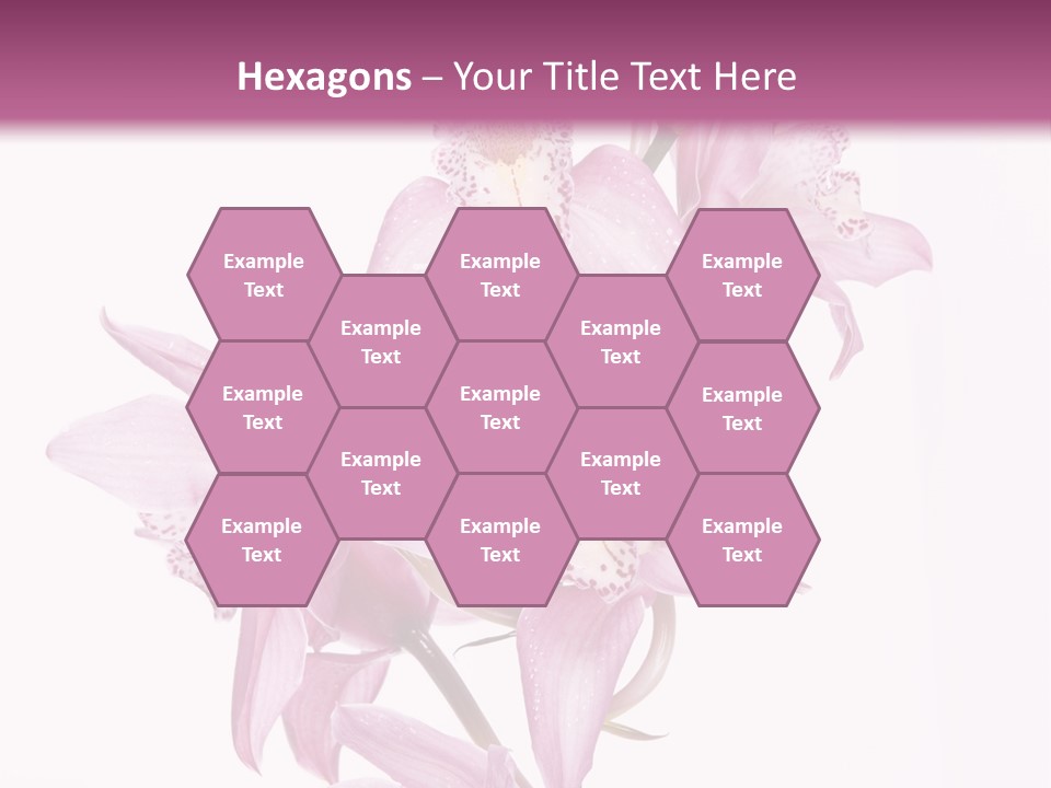 Photography Floral Object PowerPoint Template