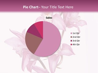 Photography Floral Object PowerPoint Template