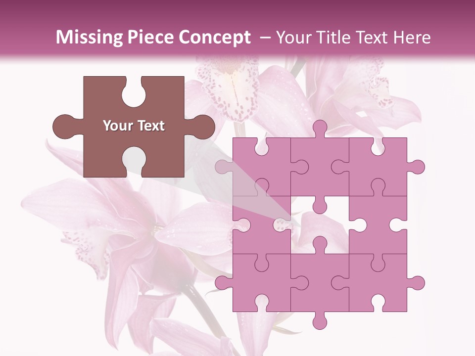 Photography Floral Object PowerPoint Template