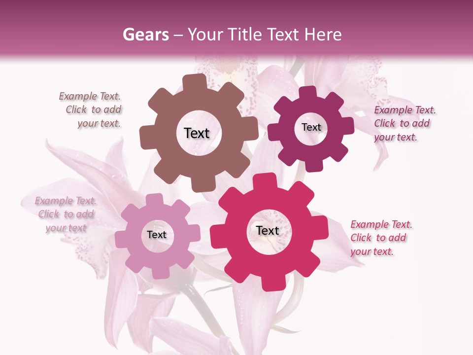 Photography Floral Object PowerPoint Template