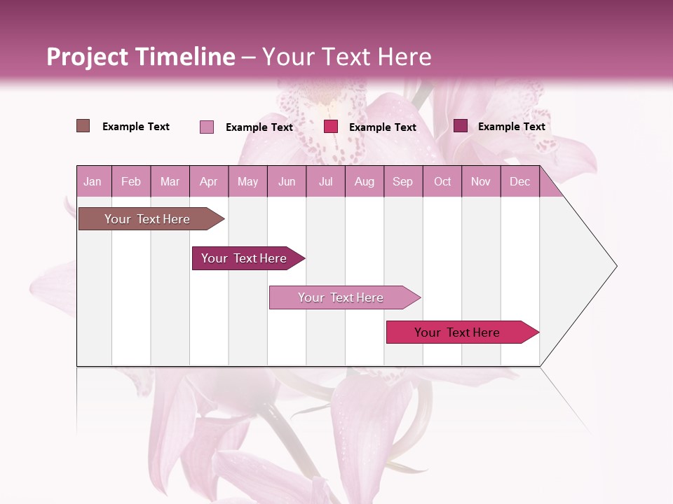 Photography Floral Object PowerPoint Template
