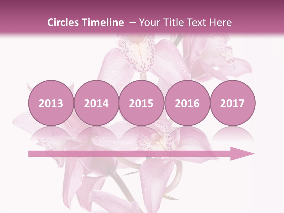 Photography Floral Object PowerPoint Template