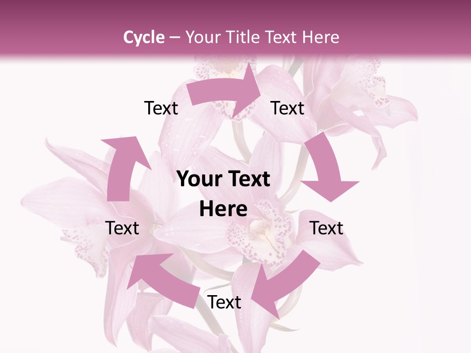 Photography Floral Object PowerPoint Template