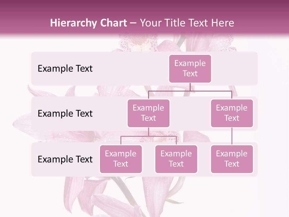 Photography Floral Object PowerPoint Template